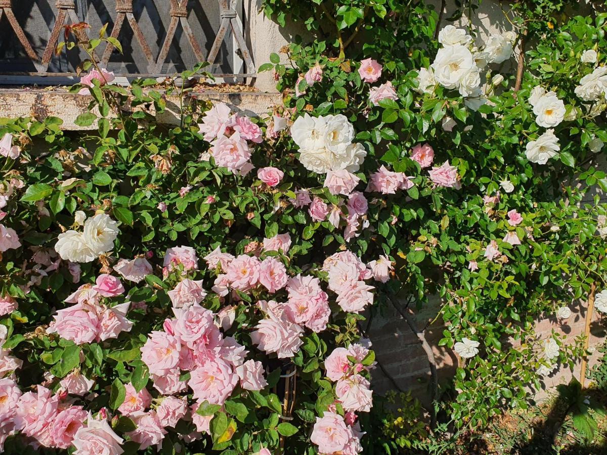 Corte Malpensata Bigarello 外观 照片